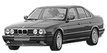 BMW E34 C123D Fault Code